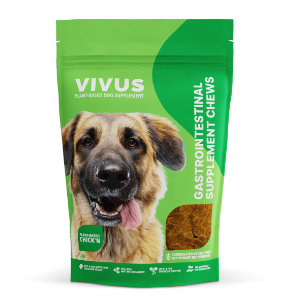 Vivus Pets Gastrointestinal Chews Supplement for Dog