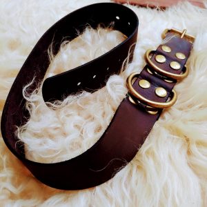 Leather Dog Collar